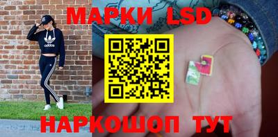 амф Новодвинск