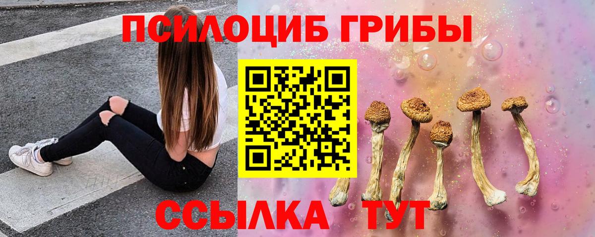 Псилоцибиновые грибы MAGIC MUSHROOMS Стрежевой