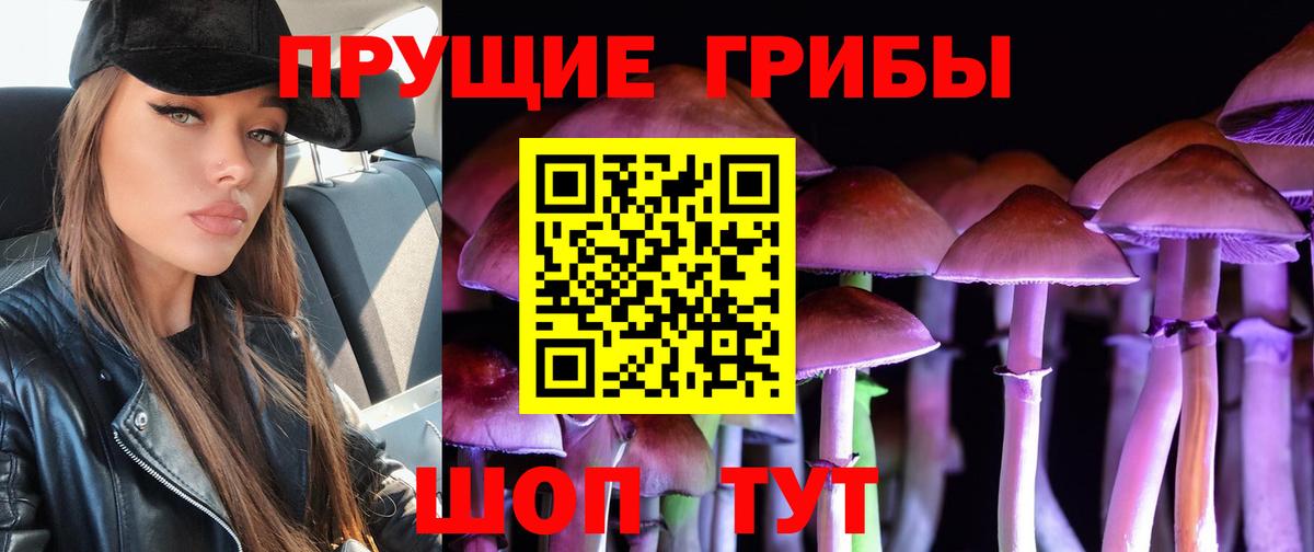 Галлюциногенные грибы прущие грибы  как найти   Стрежевой  Вход с VPN  Галлюциногенные грибы Cubensis 